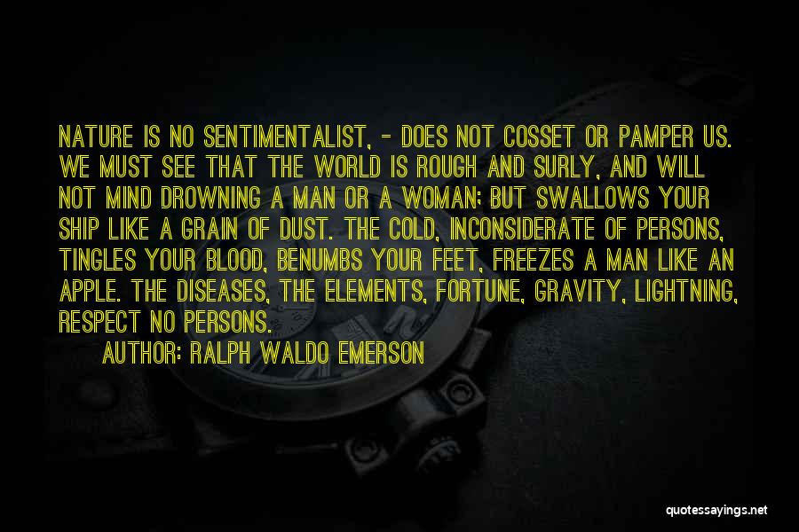 Ralph Waldo Emerson Quotes: Nature Is No Sentimentalist, - Does Not Cosset Or Pamper Us. We Must See That The World Is Rough And