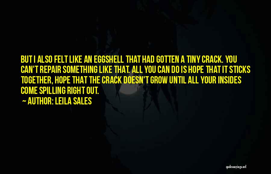 Leila Sales Quotes: But I Also Felt Like An Eggshell That Had Gotten A Tiny Crack. You Can't Repair Something Like That. All