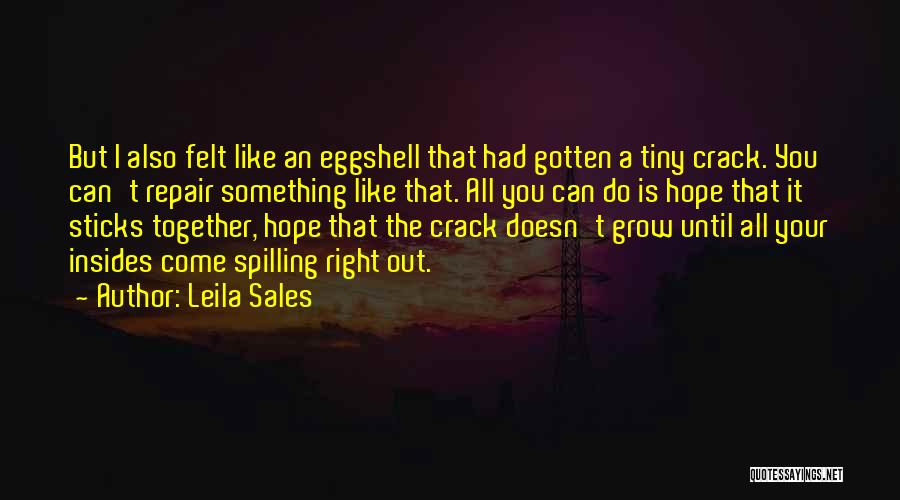 Leila Sales Quotes: But I Also Felt Like An Eggshell That Had Gotten A Tiny Crack. You Can't Repair Something Like That. All