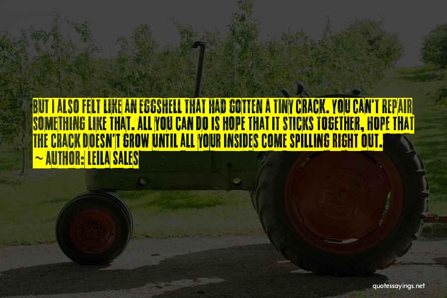 Leila Sales Quotes: But I Also Felt Like An Eggshell That Had Gotten A Tiny Crack. You Can't Repair Something Like That. All