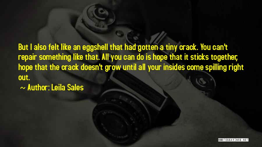Leila Sales Quotes: But I Also Felt Like An Eggshell That Had Gotten A Tiny Crack. You Can't Repair Something Like That. All