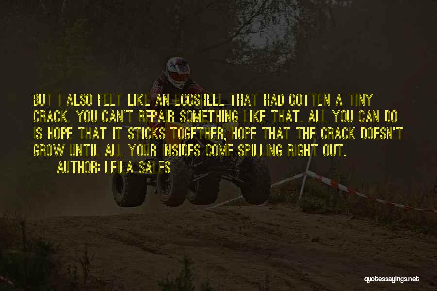 Leila Sales Quotes: But I Also Felt Like An Eggshell That Had Gotten A Tiny Crack. You Can't Repair Something Like That. All