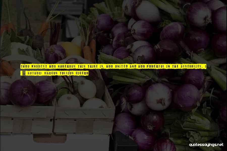 Marcus Tullius Cicero Quotes: Thou Knowest How Numerous This Tribe Is, How United And How Powerful In The Assemblies. I Will Plead In A