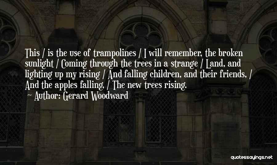 Gerard Woodward Quotes: This / Is The Use Of Trampolines / I Will Remember, The Broken Sunlight / Coming Through The Trees In