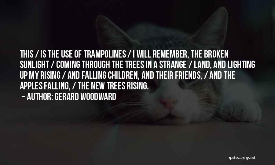 Gerard Woodward Quotes: This / Is The Use Of Trampolines / I Will Remember, The Broken Sunlight / Coming Through The Trees In