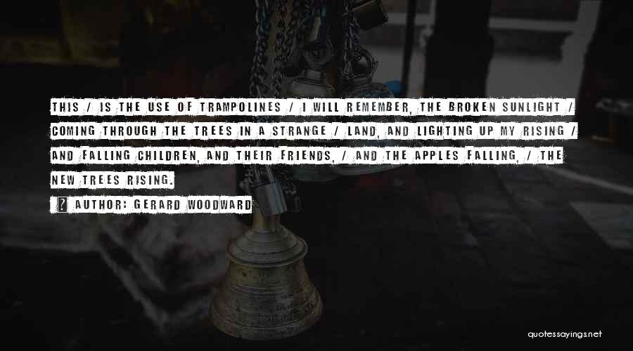 Gerard Woodward Quotes: This / Is The Use Of Trampolines / I Will Remember, The Broken Sunlight / Coming Through The Trees In