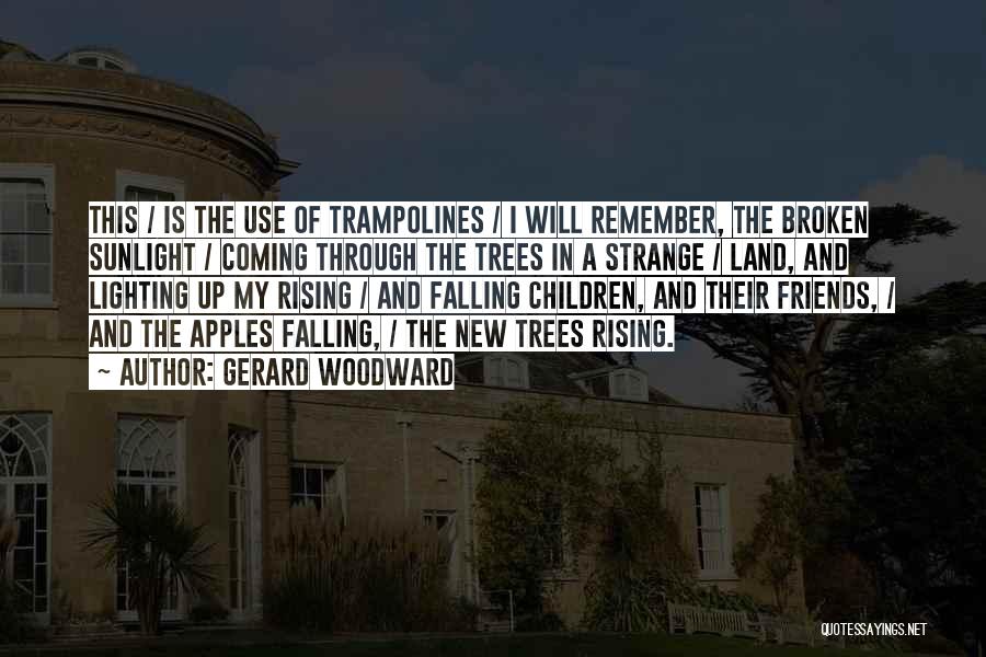 Gerard Woodward Quotes: This / Is The Use Of Trampolines / I Will Remember, The Broken Sunlight / Coming Through The Trees In