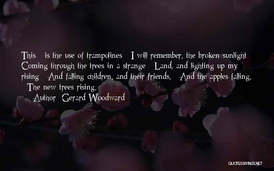 Gerard Woodward Quotes: This / Is The Use Of Trampolines / I Will Remember, The Broken Sunlight / Coming Through The Trees In