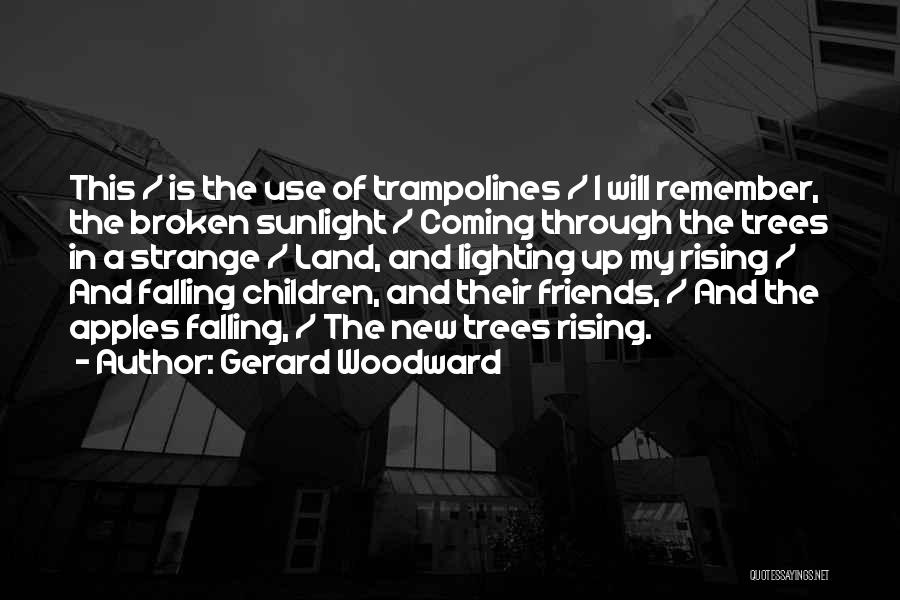 Gerard Woodward Quotes: This / Is The Use Of Trampolines / I Will Remember, The Broken Sunlight / Coming Through The Trees In