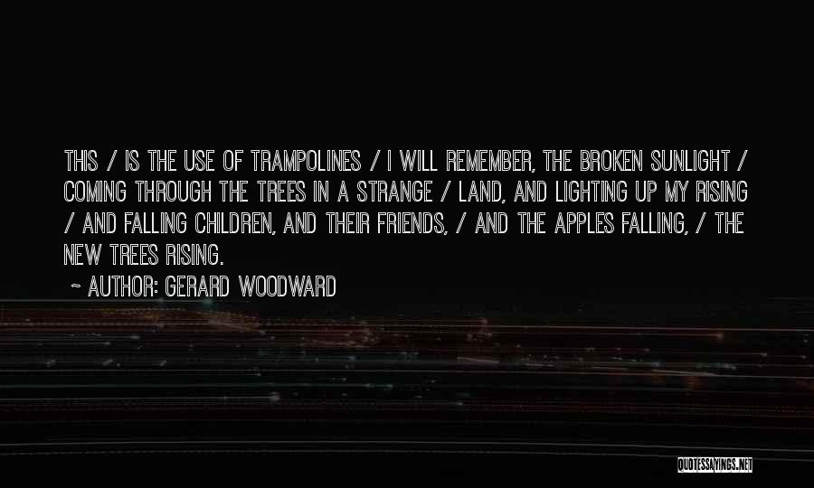 Gerard Woodward Quotes: This / Is The Use Of Trampolines / I Will Remember, The Broken Sunlight / Coming Through The Trees In