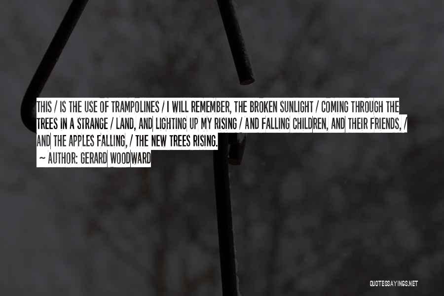 Gerard Woodward Quotes: This / Is The Use Of Trampolines / I Will Remember, The Broken Sunlight / Coming Through The Trees In