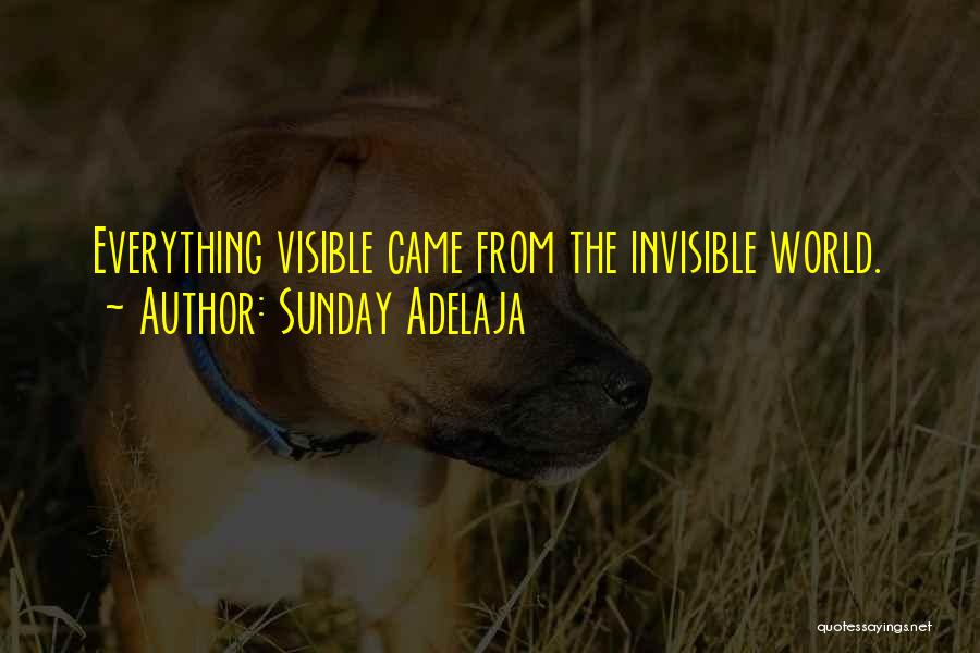 Sunday Adelaja Quotes: Everything Visible Came From The Invisible World.