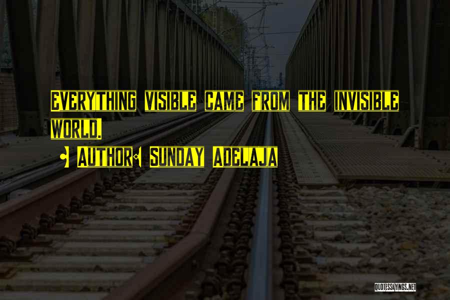 Sunday Adelaja Quotes: Everything Visible Came From The Invisible World.