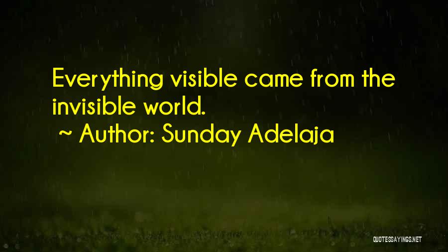 Sunday Adelaja Quotes: Everything Visible Came From The Invisible World.