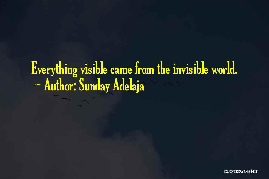 Sunday Adelaja Quotes: Everything Visible Came From The Invisible World.