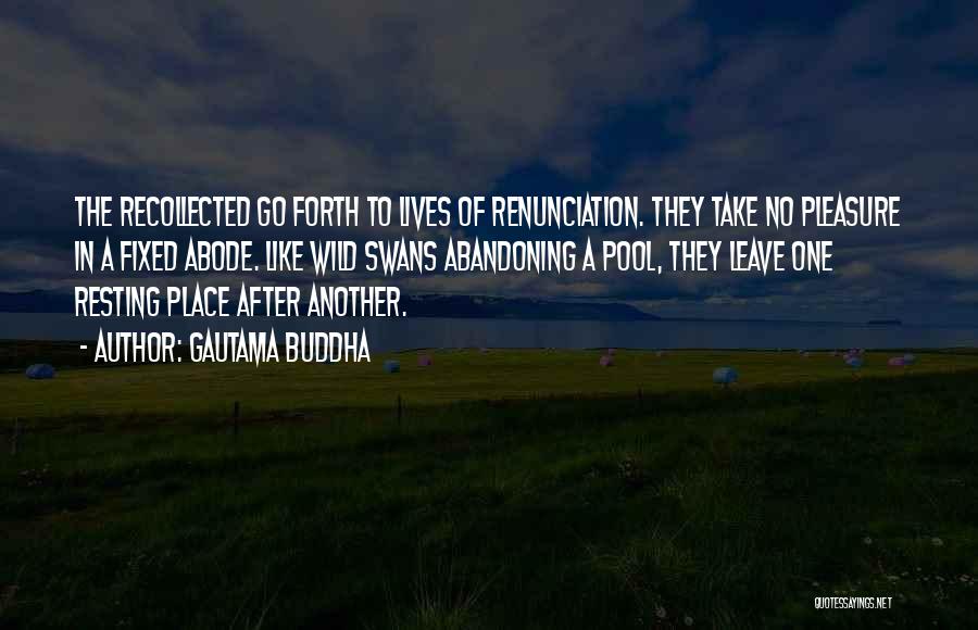 Gautama Buddha Quotes: The Recollected Go Forth To Lives Of Renunciation. They Take No Pleasure In A Fixed Abode. Like Wild Swans Abandoning