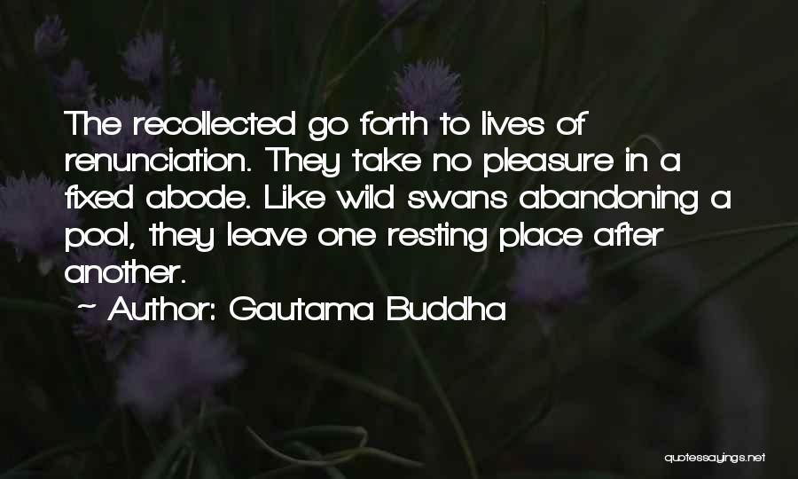 Gautama Buddha Quotes: The Recollected Go Forth To Lives Of Renunciation. They Take No Pleasure In A Fixed Abode. Like Wild Swans Abandoning
