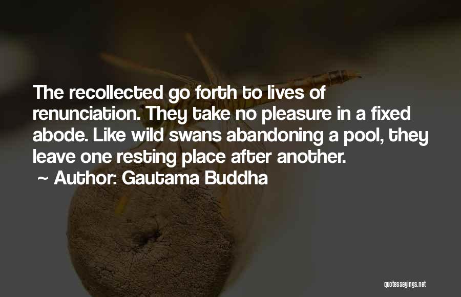 Gautama Buddha Quotes: The Recollected Go Forth To Lives Of Renunciation. They Take No Pleasure In A Fixed Abode. Like Wild Swans Abandoning