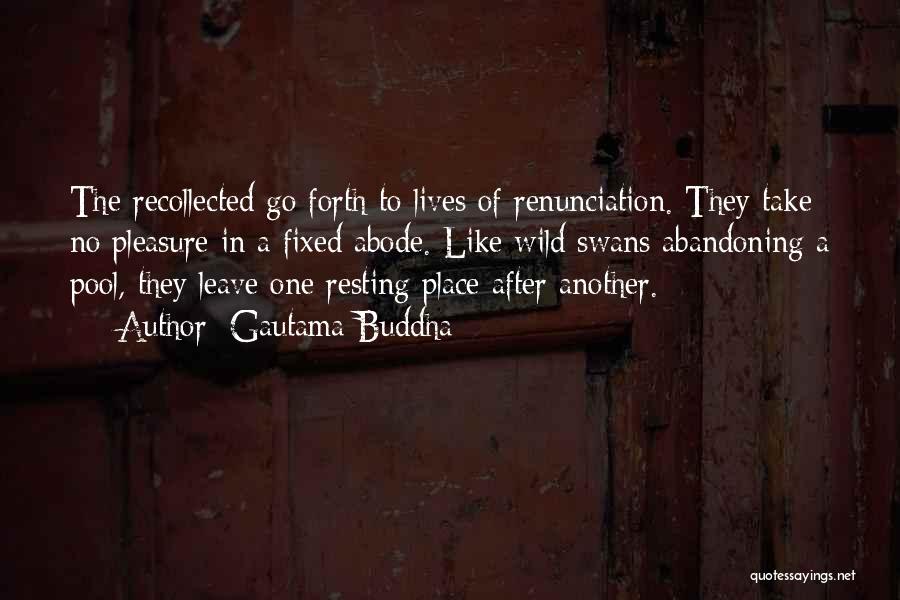 Gautama Buddha Quotes: The Recollected Go Forth To Lives Of Renunciation. They Take No Pleasure In A Fixed Abode. Like Wild Swans Abandoning