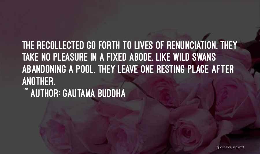 Gautama Buddha Quotes: The Recollected Go Forth To Lives Of Renunciation. They Take No Pleasure In A Fixed Abode. Like Wild Swans Abandoning