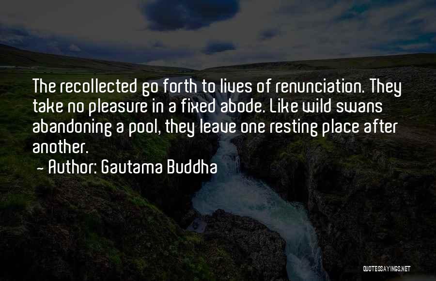 Gautama Buddha Quotes: The Recollected Go Forth To Lives Of Renunciation. They Take No Pleasure In A Fixed Abode. Like Wild Swans Abandoning