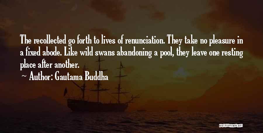 Gautama Buddha Quotes: The Recollected Go Forth To Lives Of Renunciation. They Take No Pleasure In A Fixed Abode. Like Wild Swans Abandoning