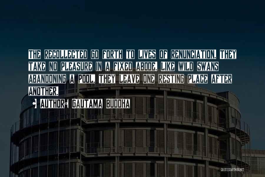 Gautama Buddha Quotes: The Recollected Go Forth To Lives Of Renunciation. They Take No Pleasure In A Fixed Abode. Like Wild Swans Abandoning