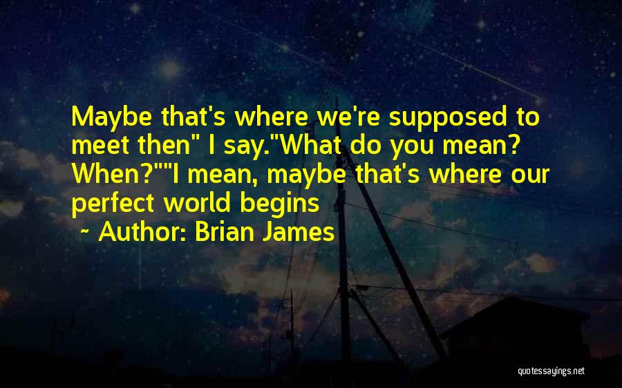 Brian James Quotes: Maybe That's Where We're Supposed To Meet Then I Say.what Do You Mean? When?i Mean, Maybe That's Where Our Perfect