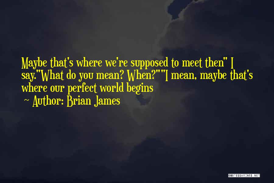 Brian James Quotes: Maybe That's Where We're Supposed To Meet Then I Say.what Do You Mean? When?i Mean, Maybe That's Where Our Perfect