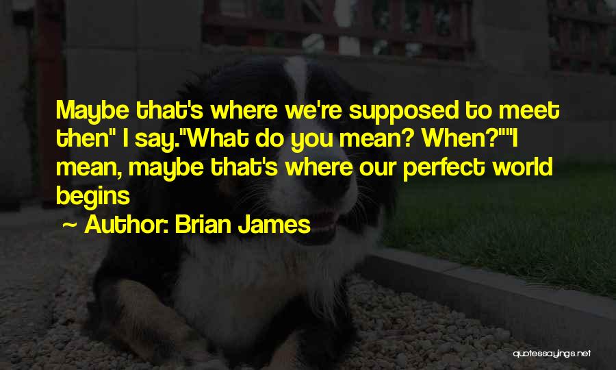 Brian James Quotes: Maybe That's Where We're Supposed To Meet Then I Say.what Do You Mean? When?i Mean, Maybe That's Where Our Perfect