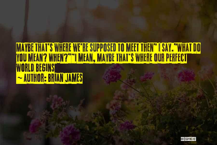 Brian James Quotes: Maybe That's Where We're Supposed To Meet Then I Say.what Do You Mean? When?i Mean, Maybe That's Where Our Perfect
