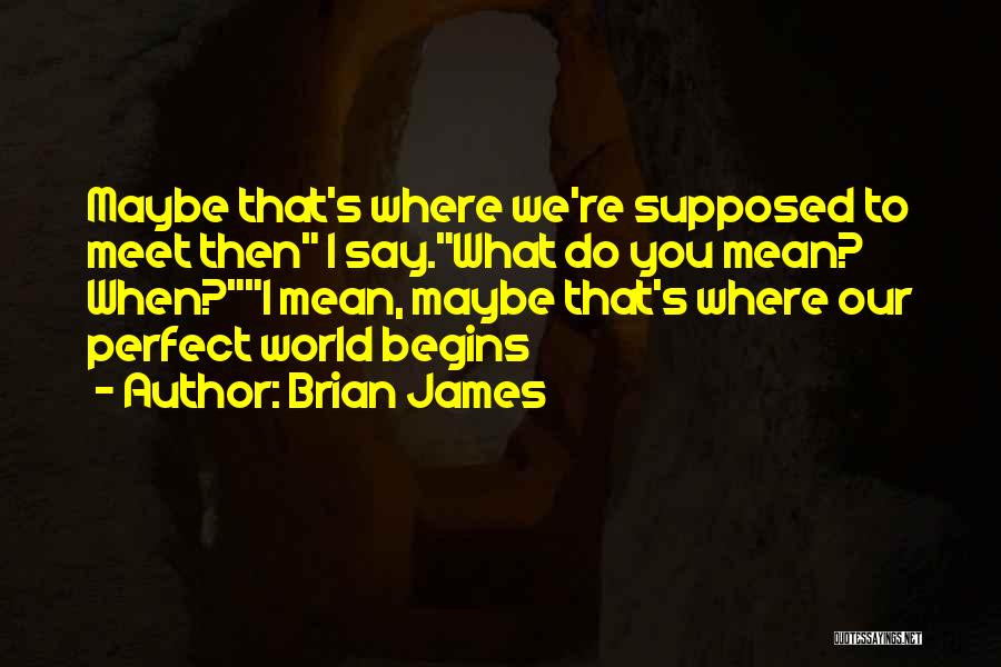 Brian James Quotes: Maybe That's Where We're Supposed To Meet Then I Say.what Do You Mean? When?i Mean, Maybe That's Where Our Perfect