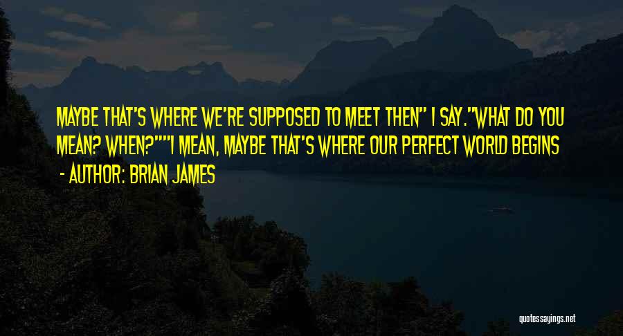 Brian James Quotes: Maybe That's Where We're Supposed To Meet Then I Say.what Do You Mean? When?i Mean, Maybe That's Where Our Perfect