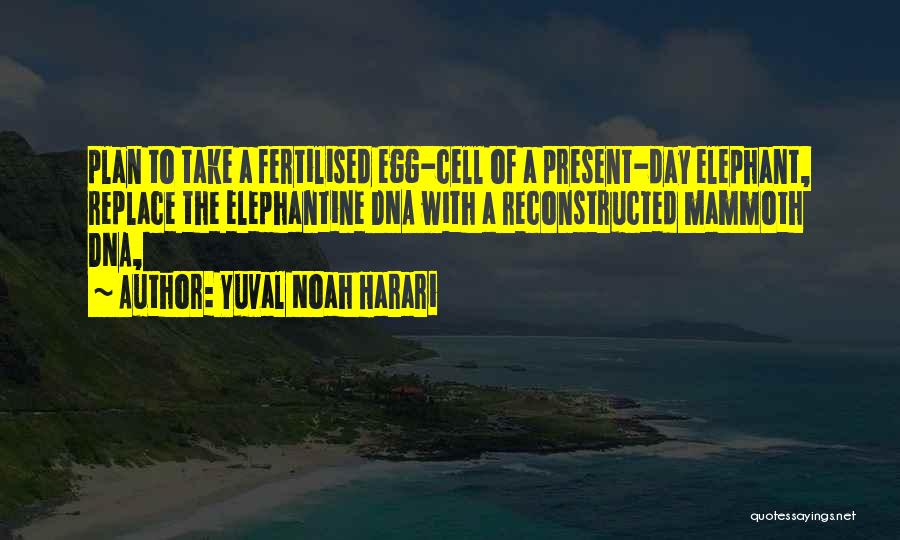 Yuval Noah Harari Quotes: Plan To Take A Fertilised Egg-cell Of A Present-day Elephant, Replace The Elephantine Dna With A Reconstructed Mammoth Dna,