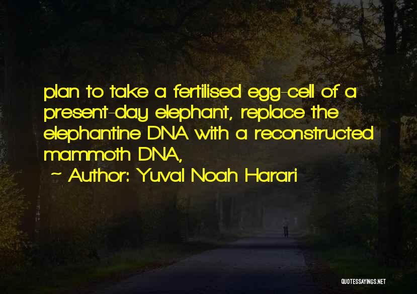 Yuval Noah Harari Quotes: Plan To Take A Fertilised Egg-cell Of A Present-day Elephant, Replace The Elephantine Dna With A Reconstructed Mammoth Dna,