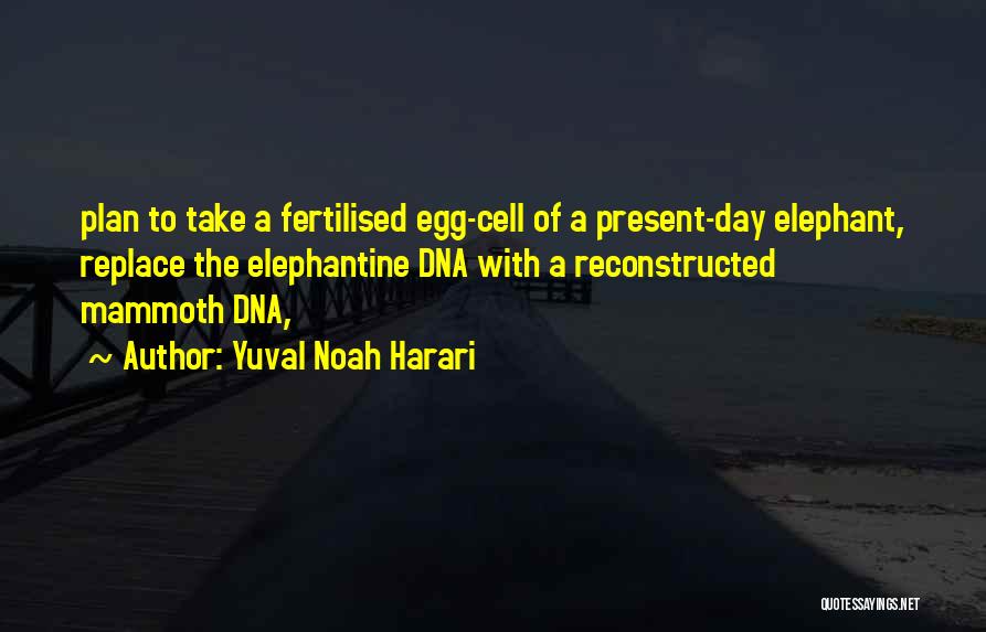 Yuval Noah Harari Quotes: Plan To Take A Fertilised Egg-cell Of A Present-day Elephant, Replace The Elephantine Dna With A Reconstructed Mammoth Dna,