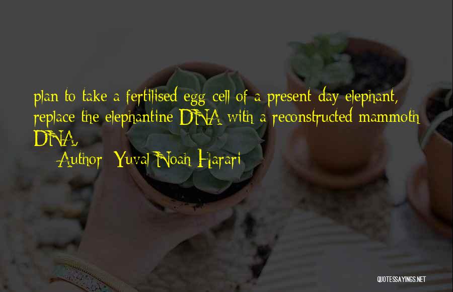 Yuval Noah Harari Quotes: Plan To Take A Fertilised Egg-cell Of A Present-day Elephant, Replace The Elephantine Dna With A Reconstructed Mammoth Dna,