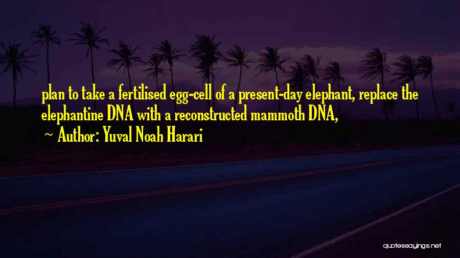 Yuval Noah Harari Quotes: Plan To Take A Fertilised Egg-cell Of A Present-day Elephant, Replace The Elephantine Dna With A Reconstructed Mammoth Dna,