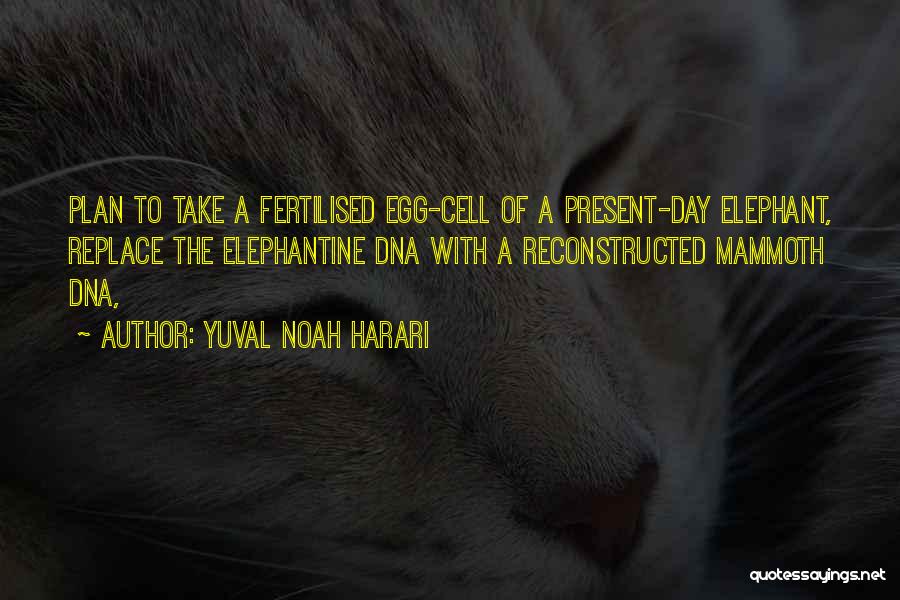 Yuval Noah Harari Quotes: Plan To Take A Fertilised Egg-cell Of A Present-day Elephant, Replace The Elephantine Dna With A Reconstructed Mammoth Dna,