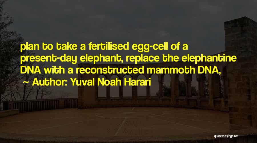 Yuval Noah Harari Quotes: Plan To Take A Fertilised Egg-cell Of A Present-day Elephant, Replace The Elephantine Dna With A Reconstructed Mammoth Dna,