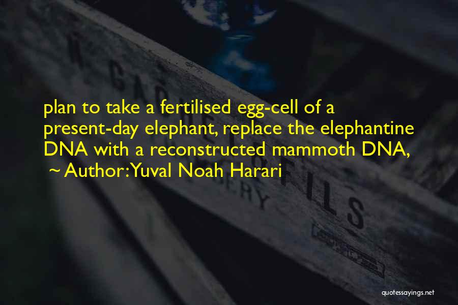 Yuval Noah Harari Quotes: Plan To Take A Fertilised Egg-cell Of A Present-day Elephant, Replace The Elephantine Dna With A Reconstructed Mammoth Dna,