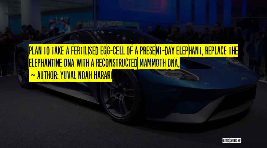 Yuval Noah Harari Quotes: Plan To Take A Fertilised Egg-cell Of A Present-day Elephant, Replace The Elephantine Dna With A Reconstructed Mammoth Dna,