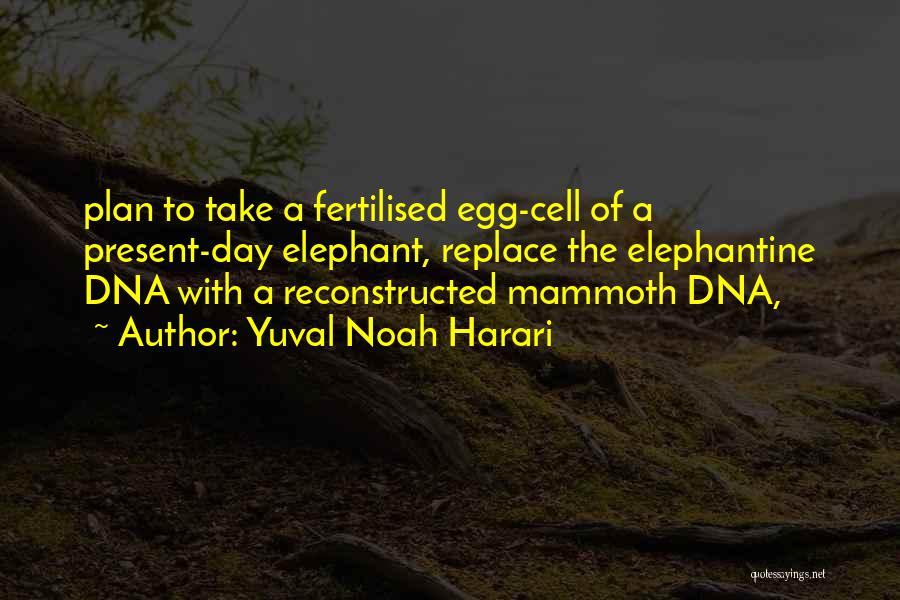 Yuval Noah Harari Quotes: Plan To Take A Fertilised Egg-cell Of A Present-day Elephant, Replace The Elephantine Dna With A Reconstructed Mammoth Dna,