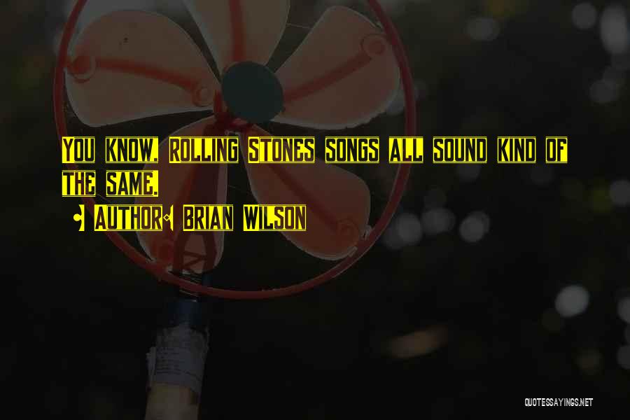 Brian Wilson Quotes: You Know, Rolling Stones Songs All Sound Kind Of The Same.