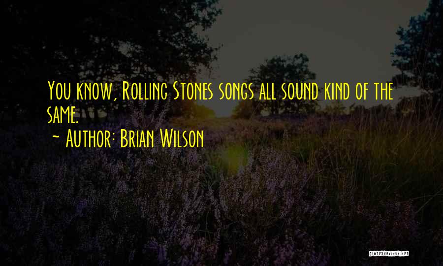 Brian Wilson Quotes: You Know, Rolling Stones Songs All Sound Kind Of The Same.