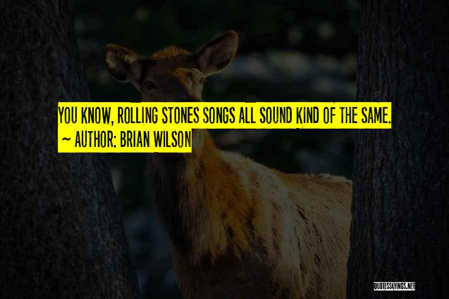 Brian Wilson Quotes: You Know, Rolling Stones Songs All Sound Kind Of The Same.