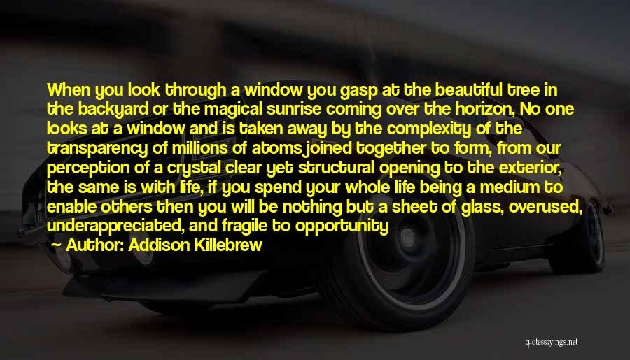 Addison Killebrew Quotes: When You Look Through A Window You Gasp At The Beautiful Tree In The Backyard Or The Magical Sunrise Coming