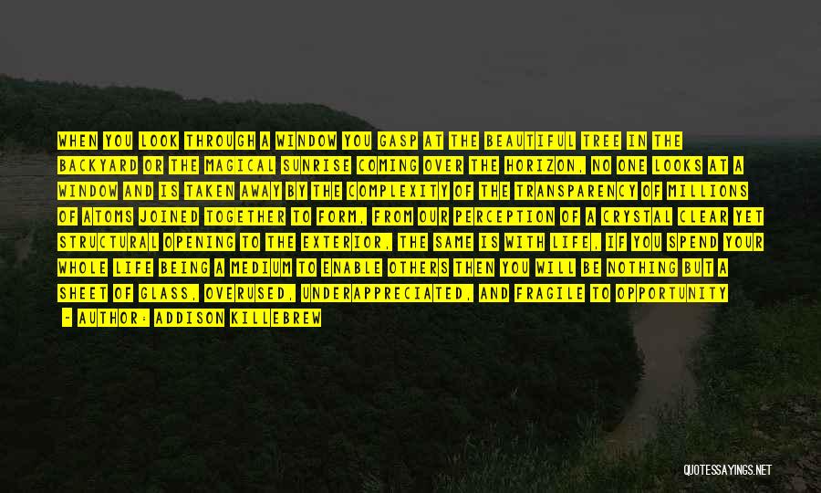 Addison Killebrew Quotes: When You Look Through A Window You Gasp At The Beautiful Tree In The Backyard Or The Magical Sunrise Coming