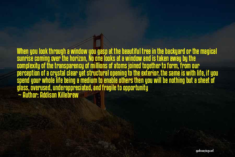 Addison Killebrew Quotes: When You Look Through A Window You Gasp At The Beautiful Tree In The Backyard Or The Magical Sunrise Coming