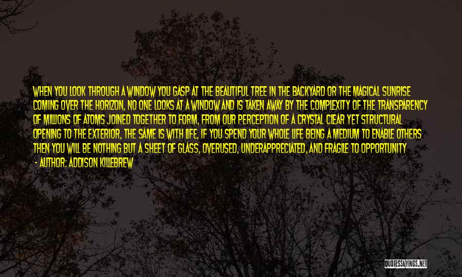 Addison Killebrew Quotes: When You Look Through A Window You Gasp At The Beautiful Tree In The Backyard Or The Magical Sunrise Coming